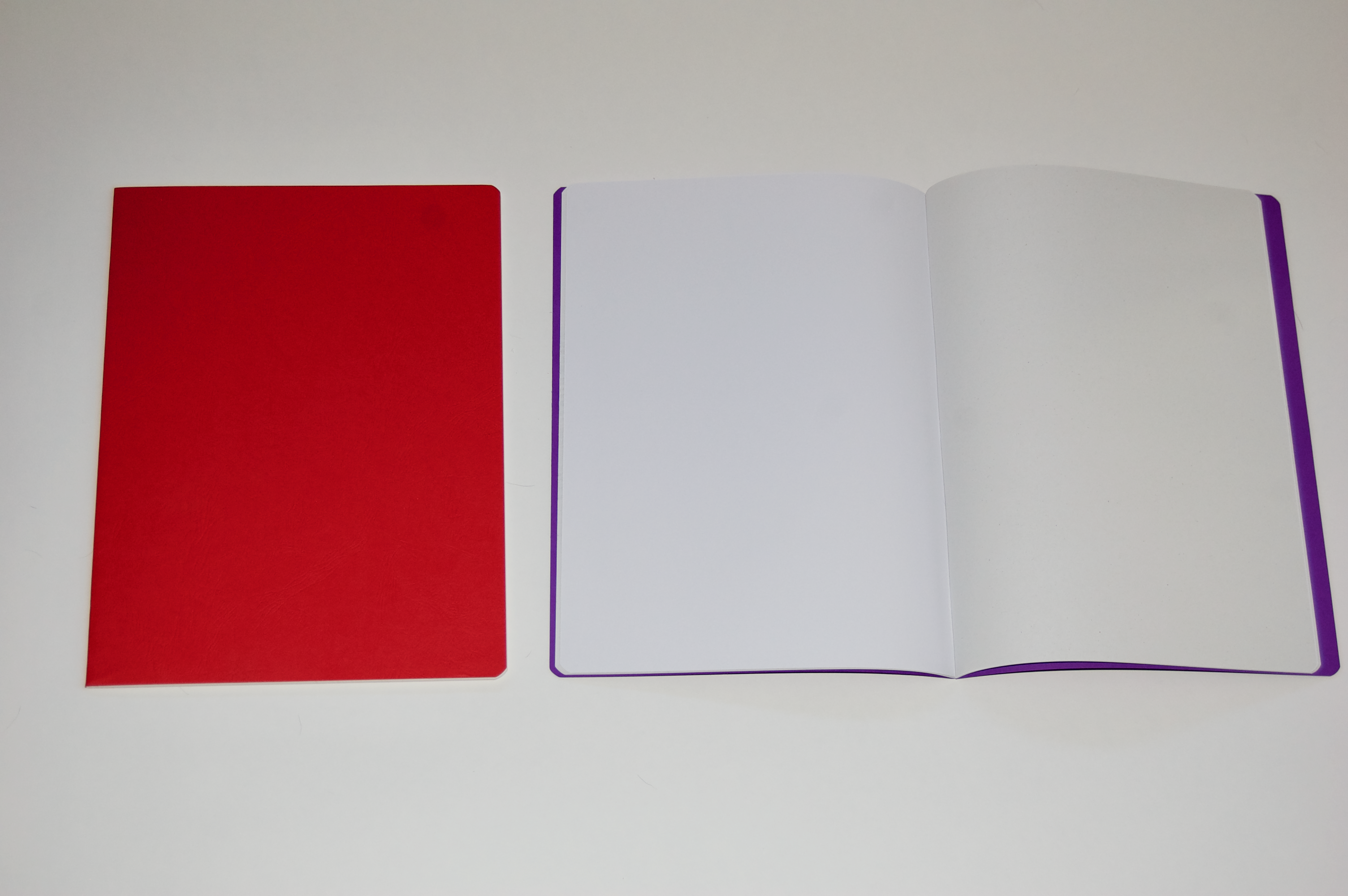 Main Lesson Book in Red with Onion Skin 2
