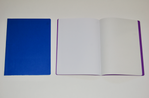 Main Lesson Book in Blue with Onion Skin 2