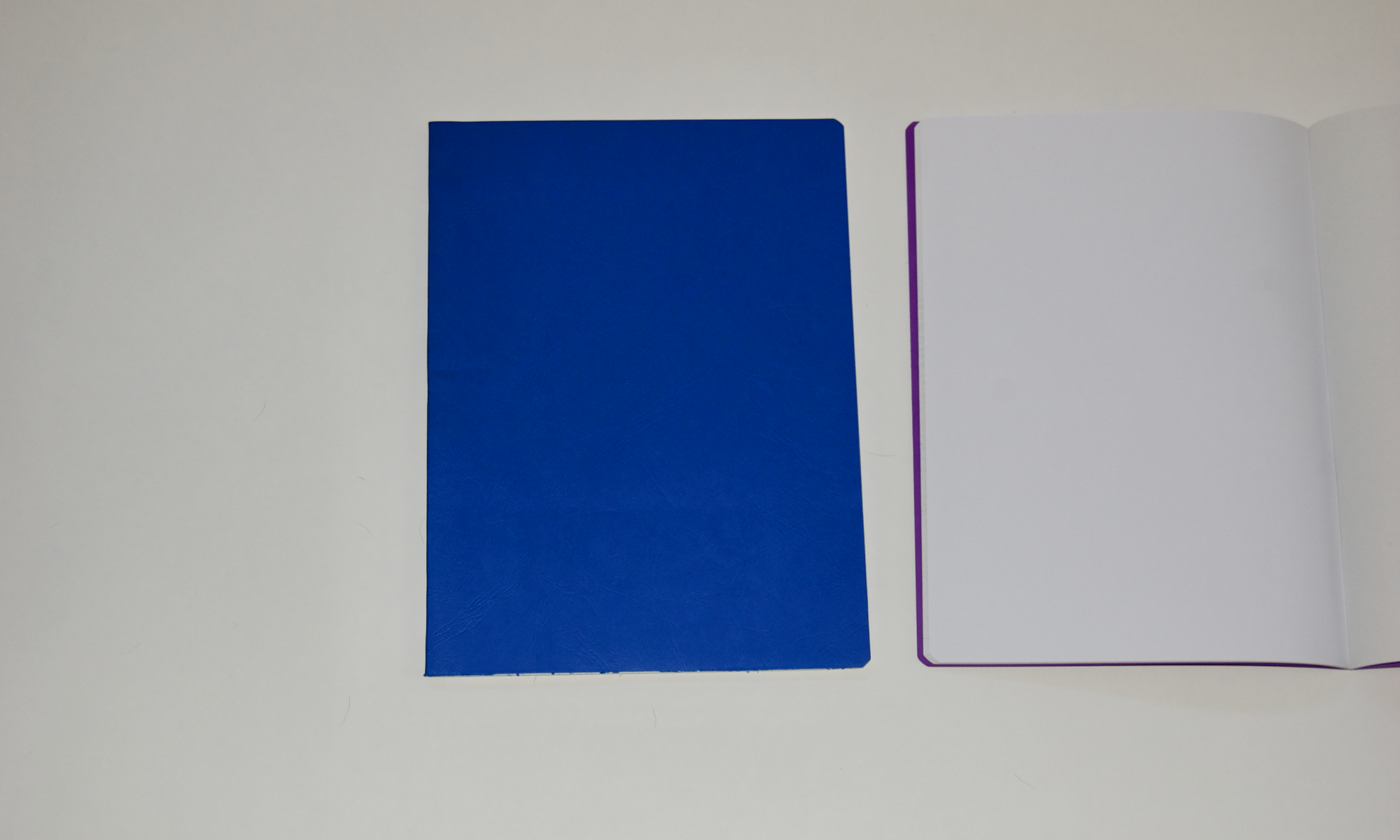 Main Lesson Book in Blue with Onion Skin