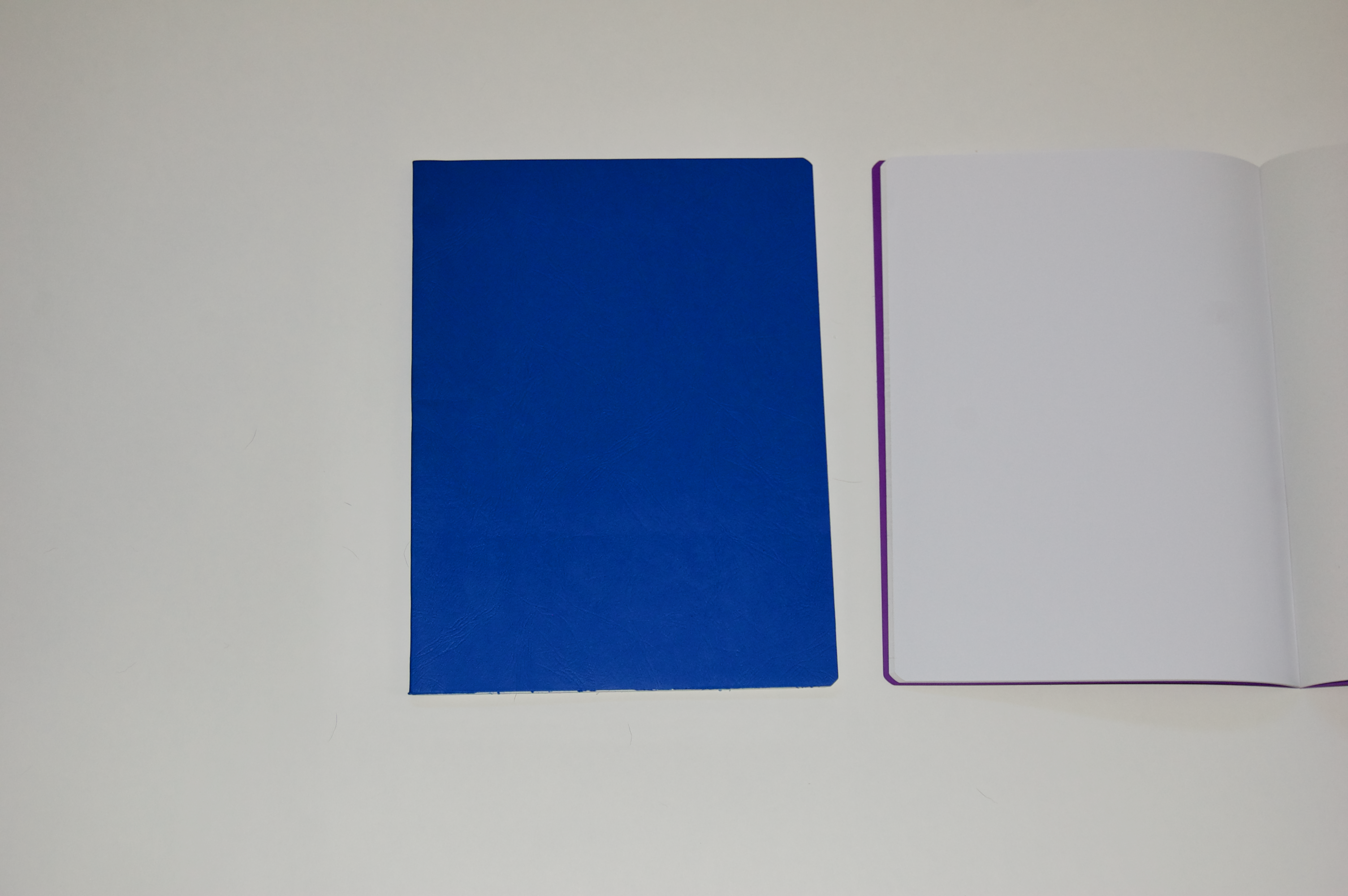 Main Lesson Book in Blue with Onion Skin