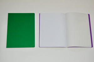 Main Lesson Book in Green with Onion Skin 2