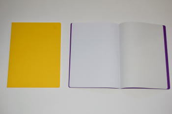 Main Lesson Book in Yellow with Onion Skin 2