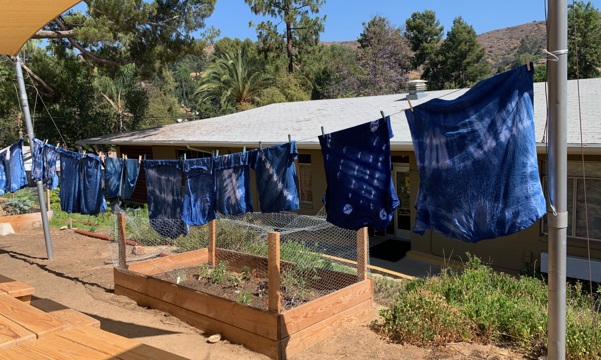 Tye-dyed projects, hanging on a clothing line, outside the main building, next to a garden bed on a sunny day.