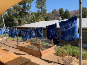 Tye-dyed projects, hanging on a clothing line, outside the main building, next to a garden bed on a sunny day.